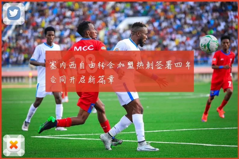 塞内西自由转会加盟热刺签署四年合同开启新篇章