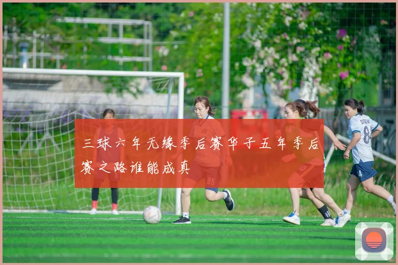 三球六年无缘季后赛华子五年季后赛之路谁能成真