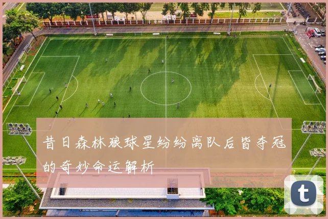昔日森林狼球星纷纷离队后皆夺冠的奇妙命运解析
